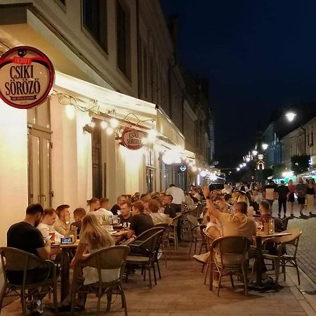 Central Designer Flat Oradea Buitenkant foto