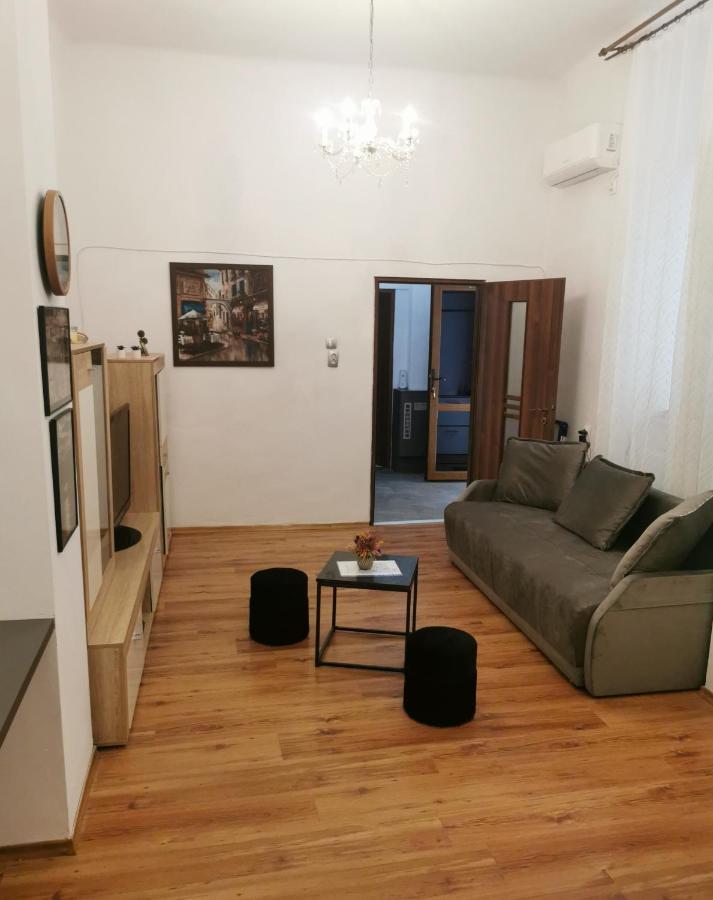 Central Designer Flat Oradea Buitenkant foto