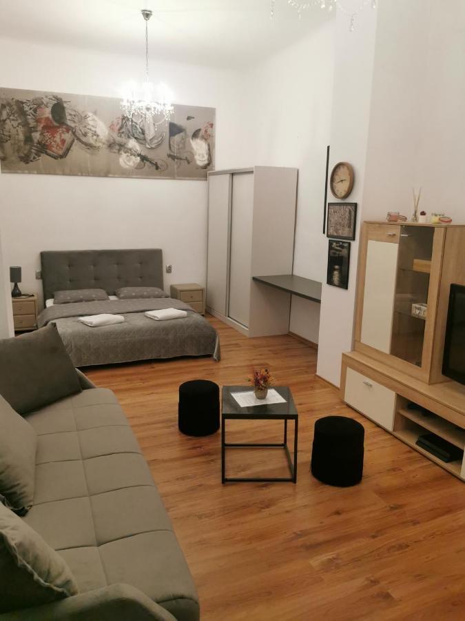 Central Designer Flat Oradea Buitenkant foto