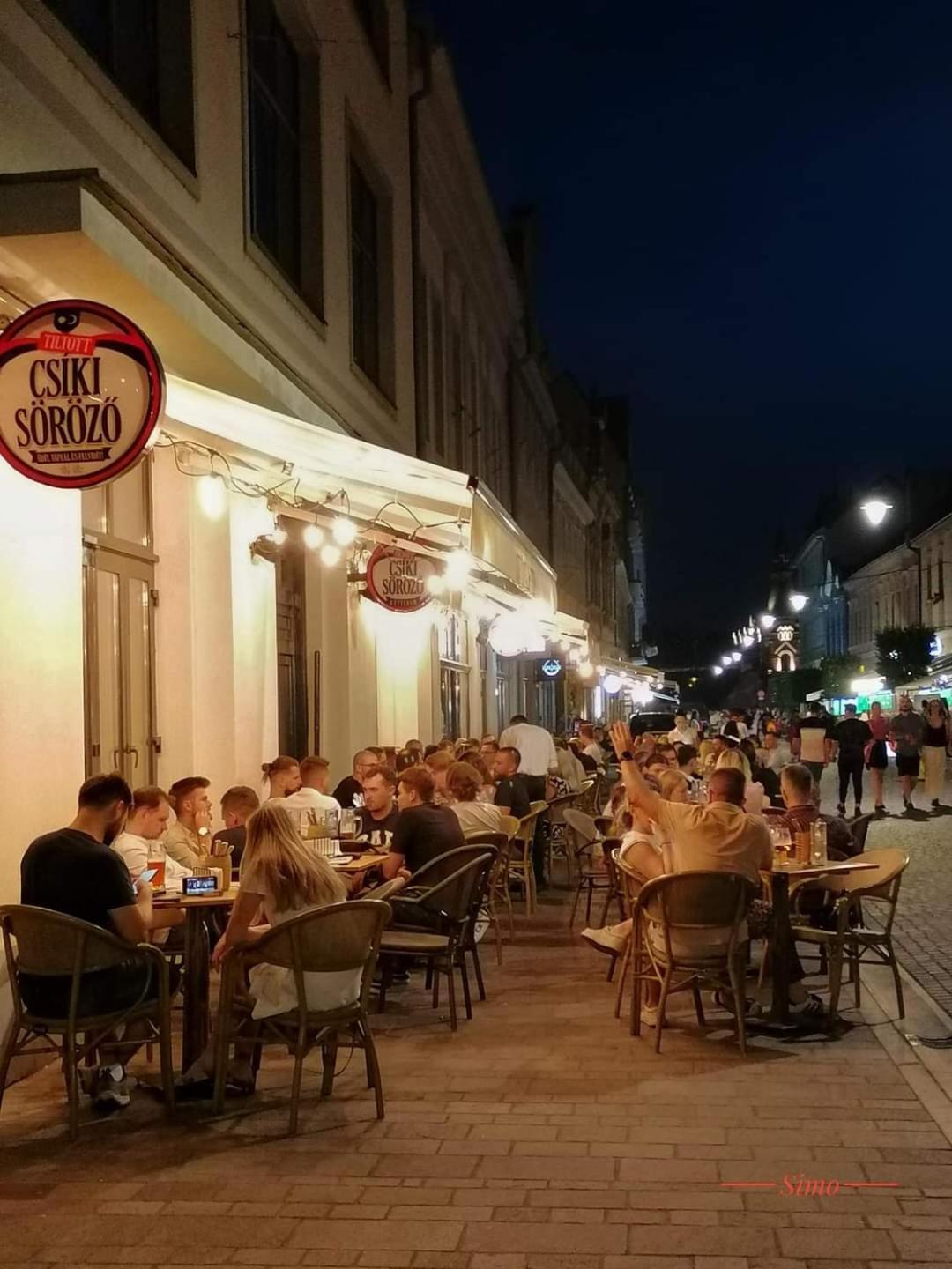 Central Designer Flat Oradea Buitenkant foto